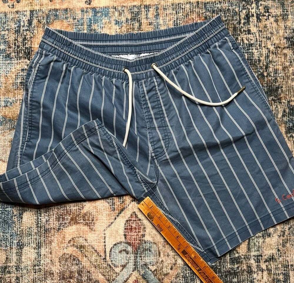 Barney Cools Men's Blue Striped Drawstring  Shorts